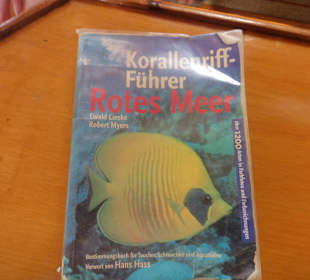 Lieblingslektüre nach dem Schnorcheln