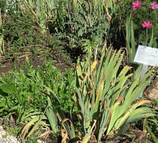 Klosterkirche Maria Gnadenzell