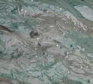 Hafenbecken in Gigantes