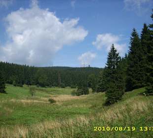 Entspannung für die Augen