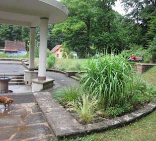 Die Quelle Liese, Celtic