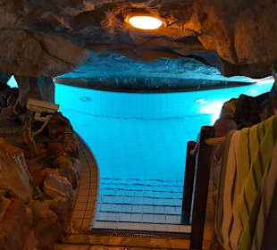 Center Parcs Bispinger Heide