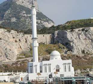 Ausflug nach Gibraltar 