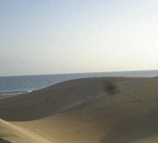 Dünen von Maspalomas