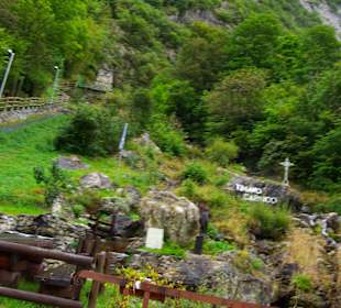 Schöner Bereich viele Blumen