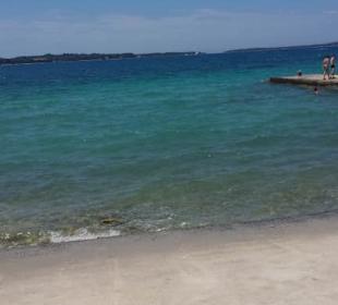 Die Beton Liegewiese