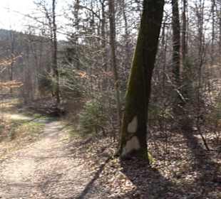 Geologischer Lehrpfad Kirnbachtal