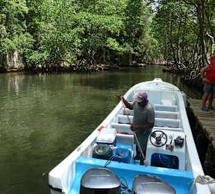 Boat in the Mangrove