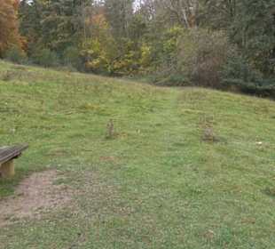 Schaukel auf den Knaupwiesen