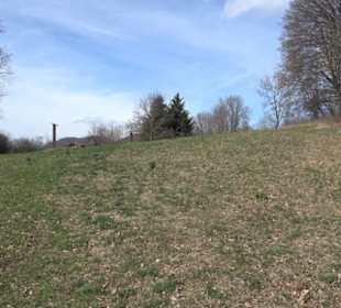 Bienenlehrpfad
