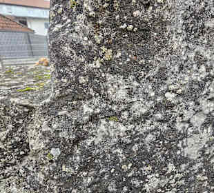 Der Zahn der Zeit nagt ...