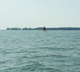 Apollo Tagestour zur Greifswalder Oie 