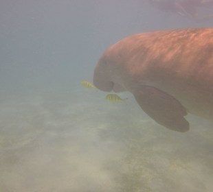 Ausflug mit Coco Trans