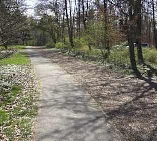 Sport- und Freizeitpark Markwasen