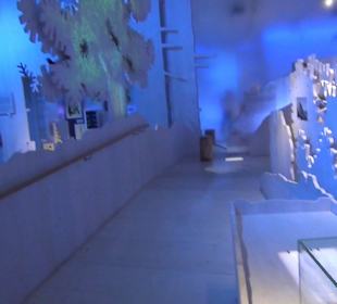 Nationalparkzentrum Haus der Berge