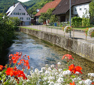 Stadtrundgang Mühlhausen im Täle