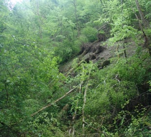 Traumschleife Ehrbachklamm 2022 – durch die Klamm