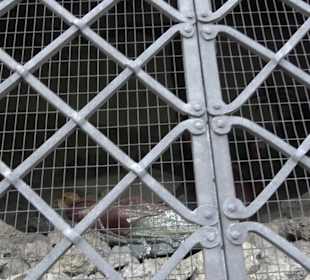 Kirche St. Elisabeth Ohmenheim