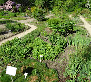 Der Bremer Botanische Garten im Mai