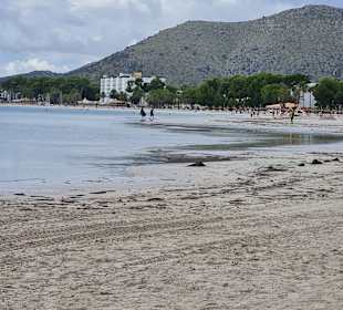 Strand Alcudia