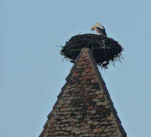 Nest auf der Porte de France