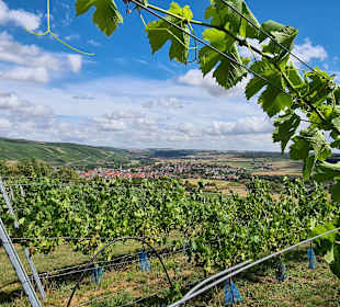 Wandern Igersheim
