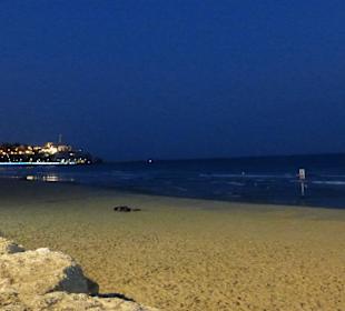 Früh, vor Sonnenaufgang am Strand