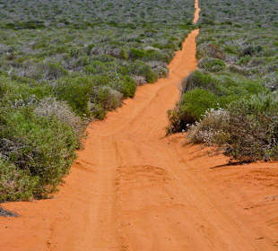 Einspurige Sandpiste