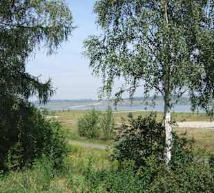 Blick vom Parkplatz zum See