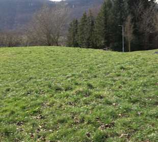 Freizeit-Anlage Buchhalde