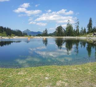 Natur