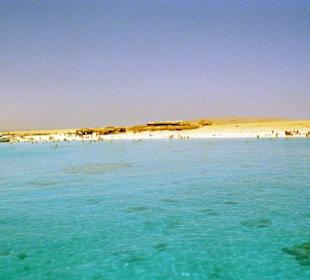 Mahmya - einfach ein Traum...