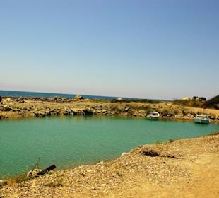 Seht euch diese Natur an...