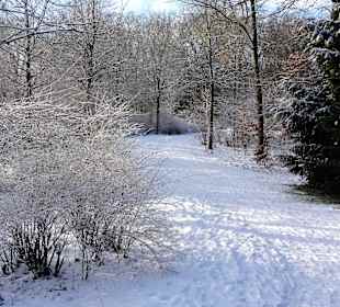Winterspaziergang durch den Bürgerpark