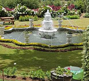 Hochland von Sri Lanka