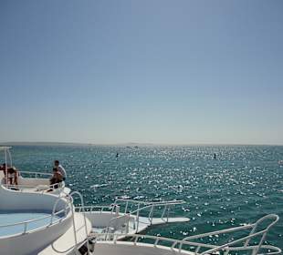 Aussicht von unserem Boot