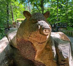 Schwein