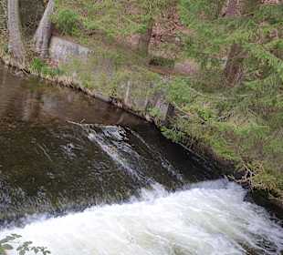Wandern Enzklösterle