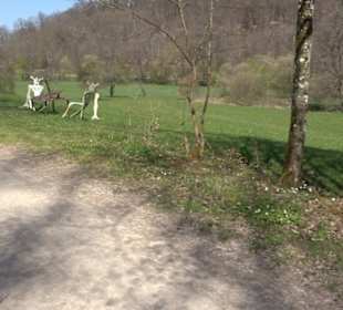 Waldkulturerbe Neuweiler Viehweide