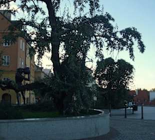 Gnojna Góra