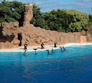 Loro Parque 