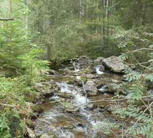 Wanderung zu wilden Bächen und hohen Wasserfällen