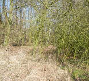 Wunderschöne Boberger Niederung