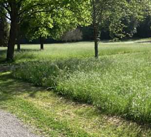 Kurpark Bad Niedernau