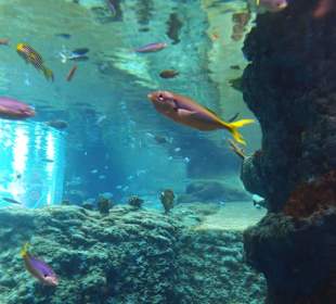 Zoo Wrocław