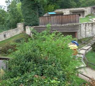 Falkenhof Rosenburg