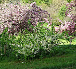 Garten Hohenheim