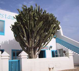 Restaurant El Risco