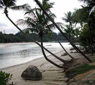 Palmenstrände auf Sentosa