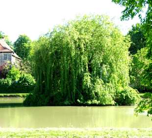 Schon ein kleiner See mit Insel